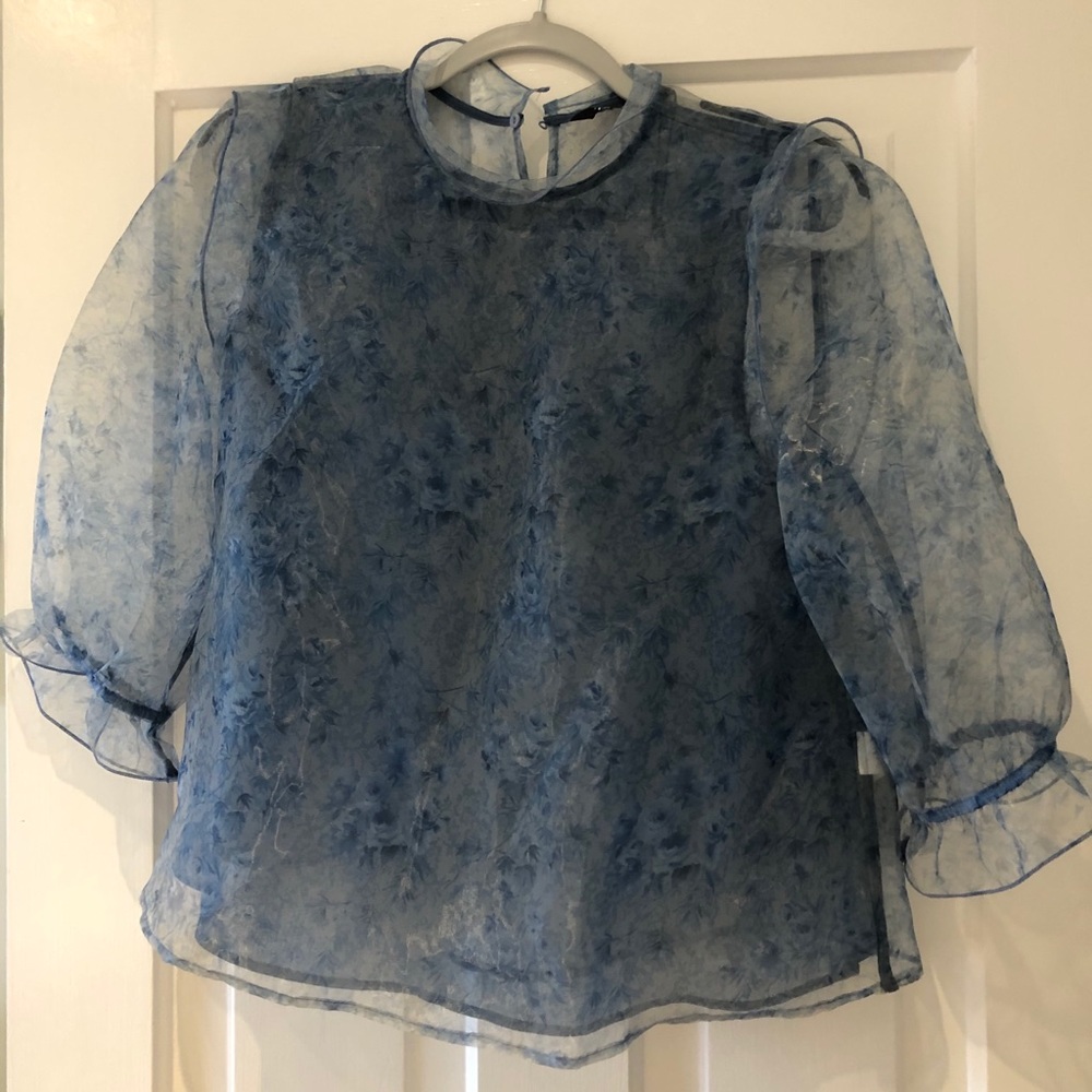 Zara Sheer Blue Floral Organza Blouse